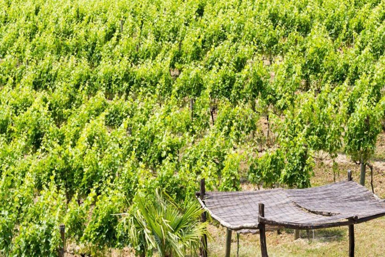 Residence La Vigna Arco Luaran gambar